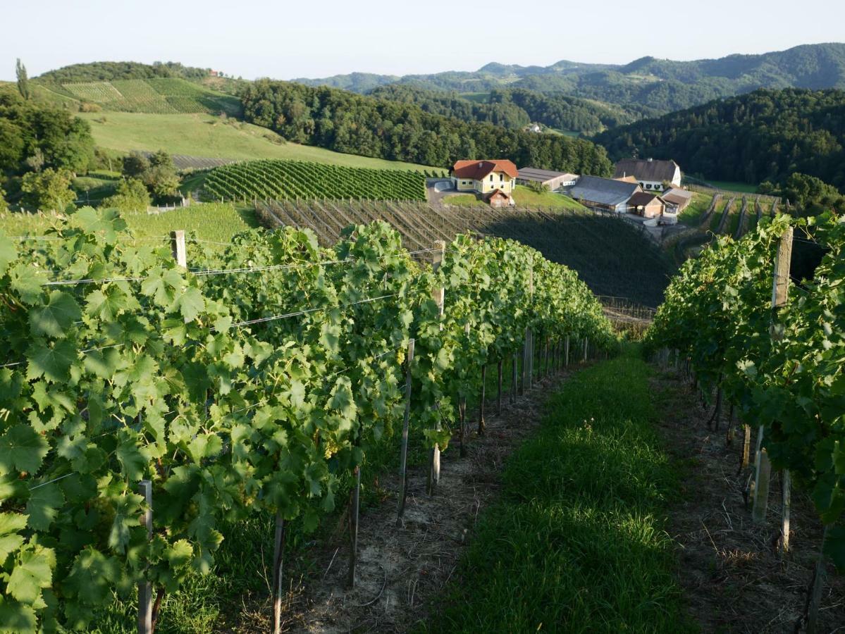 Holiday Home Winzerhaus Eva Spicnik Esterno foto